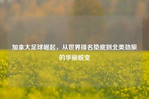加拿大足球崛起,从世界排名垫底到北美劲旅的华丽蜕变