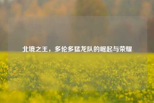 北境之王,多伦多猛龙队的崛起与荣耀