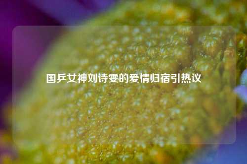 国乒女神刘诗雯的爱情归宿引热议