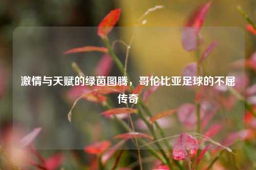 激情与天赋的绿茵图腾，哥伦比亚足球的不屈传奇