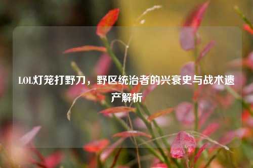 LOL灯笼打野刀,野区统治者的兴衰史与战术遗产解析