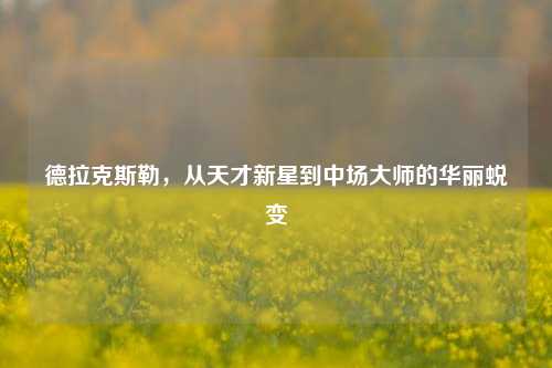 德拉克斯勒,从天才新星到中场大师的华丽蜕变
