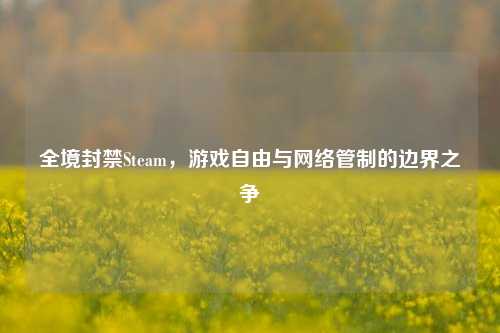 全境封禁Steam,游戏自由与网络管制的边界之争