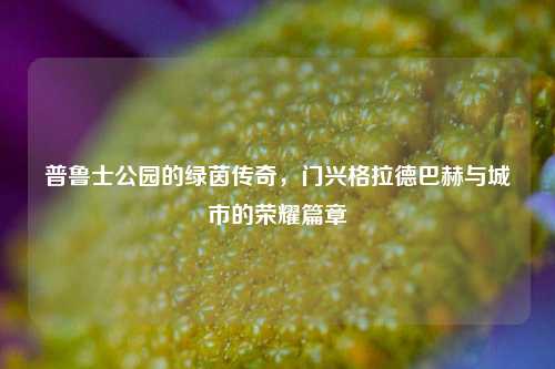 普鲁士公园的绿茵传奇,门兴格拉德巴赫与城市的荣耀篇章