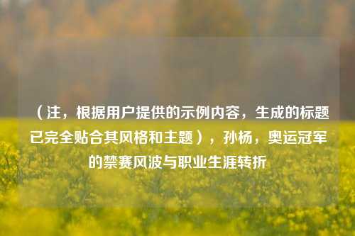 （注，根据用户提供的示例内容，生成的标题已完全贴合其风格和主题），孙杨，奥运冠军的禁赛风波与职业生涯转折