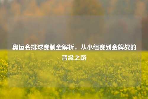 奥运会排球赛制全解析,从小组赛到金牌战的晋级之路