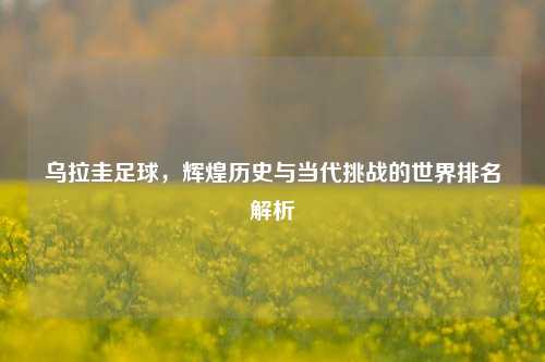 乌拉圭足球,辉煌历史与当代挑战的世界排名解析