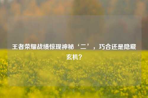 王者荣耀战绩惊现神秘‘二’，巧合还是隐藏玄机？