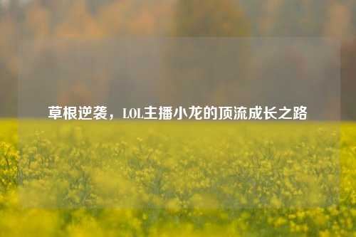 草根逆袭,LOL主播小龙的顶流成长之路