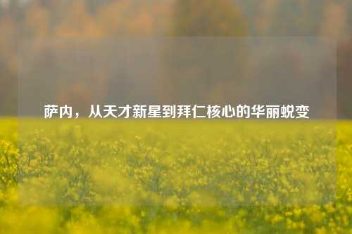 萨内,从天才新星到拜仁核心的华丽蜕变