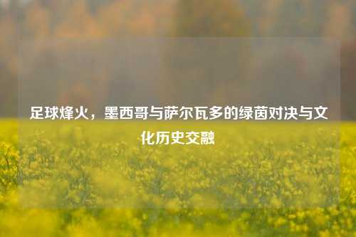 足球烽火，墨西哥与萨尔瓦多的绿茵对决与文化历史交融