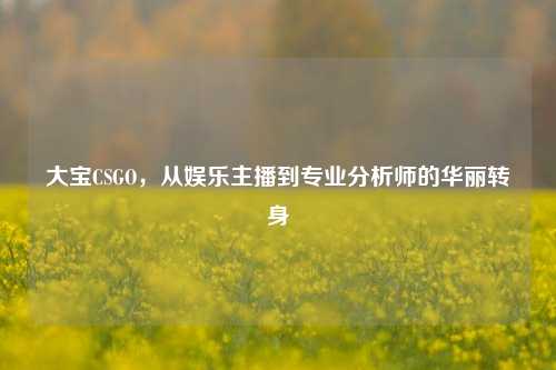 大宝CSGO,从娱乐主播到专业分析师的华丽转身