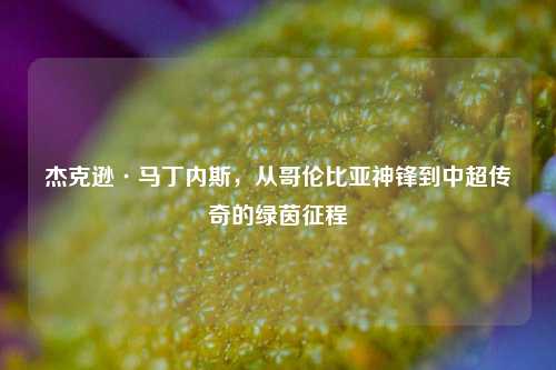 杰克逊·马丁内斯,从哥伦比亚神锋到中超传奇的绿茵征程