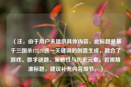 （注，由于用户未提供具体内容，此标题是基于三国杀172.28这一关键词的创意生成，融合了游戏、数字谜题、策略性与历史元素。若需精准标题，建议补充内容细节。）