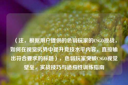 （注，根据用户提供的色弱玩家的CSGO挑战，如何在视觉劣势中提升竞技水平内容，直接输出符合要求的标题），色弱玩家突破CSGO视觉壁垒，实战技巧与适应性训练指南