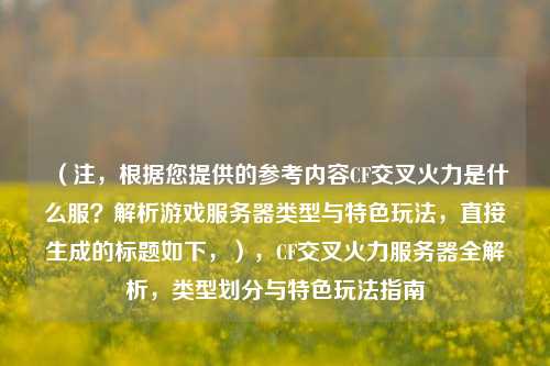 (注,根据您提供的参考内容CF交叉火力是什么服?解析游戏服务器类型与特色玩法,直接生成的标题如下,),CF交叉火力服务器全解析,类型划分与特色玩法指南