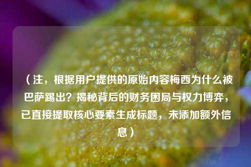 (注,根据用户提供的原始内容梅西为什么被巴萨踢出?揭秘背后的财务困局与权力博弈,已直接提取核心要素生成标题,未添加额外信息)