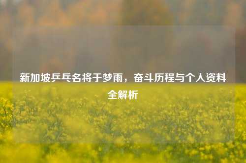 新加坡乒乓名将于梦雨,奋斗历程与个人资料全解析