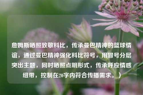 詹姆斯晒照致敬科比,传承曼巴精神的篮球情谊,通过曼巴精神强化科比符号,用冒号分层突出主题,同时晒照点明形式,传承呼应情感纽带,控制在20字内符合传播需求。)