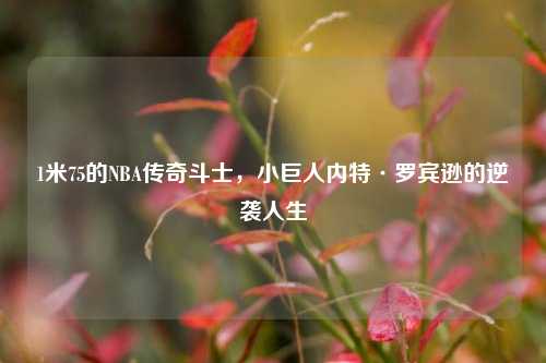 1米75的NBA传奇斗士，小巨人内特·罗宾逊的逆袭人生