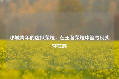 小城青年的虚拟荣耀,在王者荣耀中追寻现实存在感