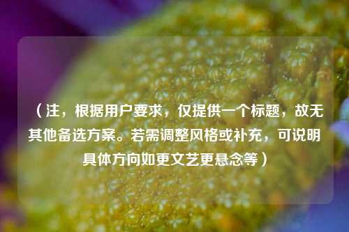 （注，根据用户要求，仅提供一个标题，故无其他备选方案。若需调整风格或补充，可说明具体方向如更文艺更悬念等）