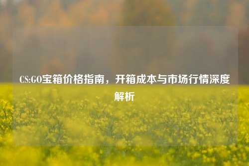 CS:GO宝箱价格指南,开箱成本与市场行情深度解析