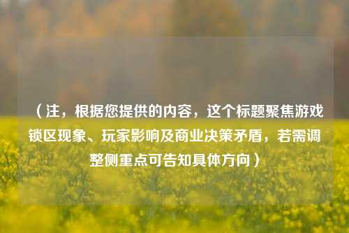(注,根据您提供的内容,这个标题聚焦游戏锁区现象、玩家影响及商业决策矛盾,若需调整侧重点可告知具体方向)
