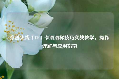 穿越火线（CF）卡滑滑梯技巧实战教学，操作详解与应用指南