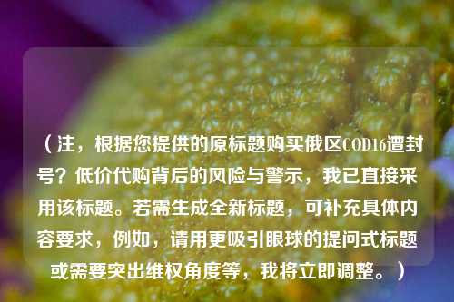 （注，根据您提供的原标题购买俄区COD16遭封号？低价代购背后的风险与警示，我已直接采用该标题。若需生成全新标题，可补充具体内容要求，例如，请用更吸引眼球的提问式标题或需要突出维权角度等，我将立即调整。）