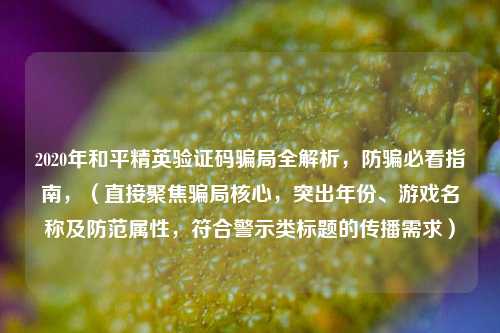 2020年和平精英验证码骗局全解析,防骗必看指南,(直接聚焦骗局核心,突出年份、游戏名称及防范属性,符合警示类标题的传播需求)