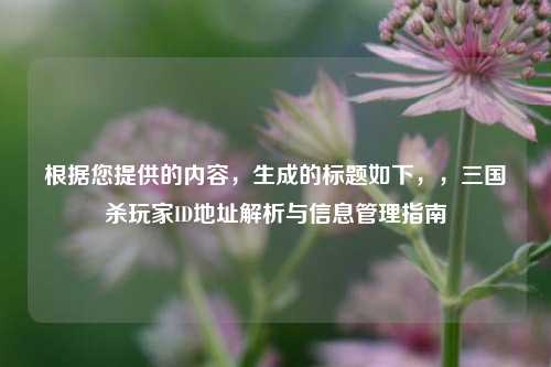 根据您提供的内容,生成的标题如下,,三国杀玩家ID地址解析与信息管理指南