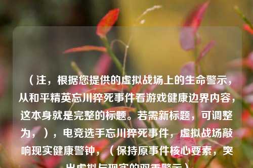 (注,根据您提供的虚拟战场上的生命警示,从和平精英忘川猝死事件看游戏健康边界内容,这本身就是完整的标题。若需新标题,可调整为,),电竞选手忘川猝死事件,虚拟战场敲响现实健康警钟,(保持原事件核心要素,突出虚拟与现实的双重警示)