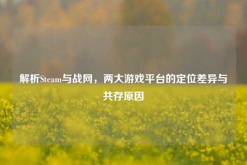 解析Steam与战网,两大游戏平台的定位差异与共存原因