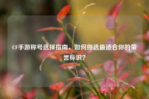 CF手游称号选择指南,如何挑选最适合你的荣誉标识?