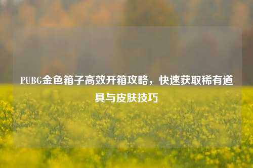 PUBG金色箱子高效开箱攻略，快速获取稀有道具与皮肤技巧