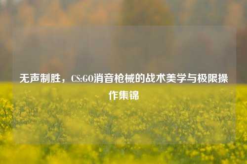 无声制胜，CS:GO消音枪械的战术美学与极限操作集锦