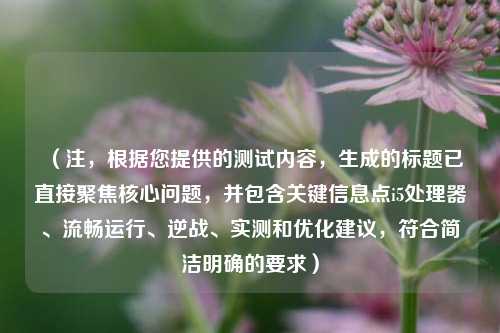 （注，根据您提供的测试内容，生成的标题已直接聚焦核心问题，并包含关键信息点i5处理器、流畅运行、逆战、实测和优化建议，符合简洁明确的要求）