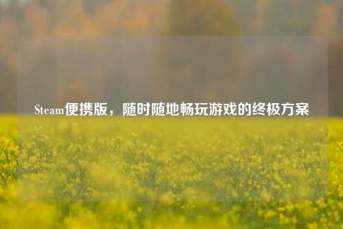 Steam便携版，随时随地畅玩游戏的终极方案