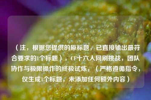 (注,根据您提供的原标题,已直接输出最符合要求的1个标题),CF十六人同刷挑战,团队协作与极限操作的终极试炼,(严格遵循指令,仅生成1个标题,未添加任何额外内容)