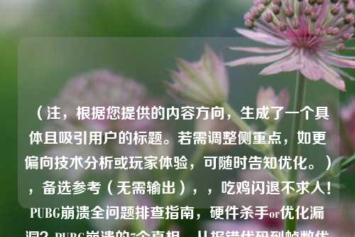 (注,根据您提供的内容方向,生成了一个具体且吸引用户的标题。若需调整侧重点,如更偏向技术分析或玩家体验,可随时告知优化。),备选参考(无需输出),,吃鸡闪退不求人!PUBG崩溃全问题排查指南,硬件杀手or优化漏洞?PUBG崩溃的7个真相,从报错代码到帧数优化,根治PUBG崩溃的终极方案