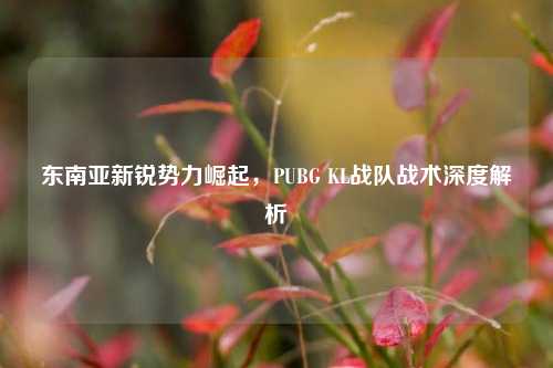 东南亚新锐势力崛起，PUBG KL战队战术深度解析