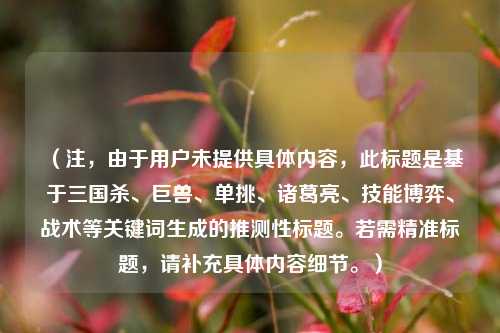 (注,由于用户未提供具体内容,此标题是基于三国杀、巨兽、单挑、诸葛亮、技能博弈、战术等关键词生成的推测性标题。若需精准标题,请补充具体内容细节。)