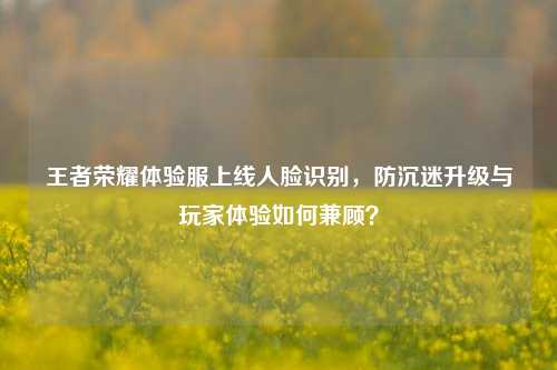 王者荣耀体验服上线人脸识别,防沉迷升级与玩家体验如何兼顾?