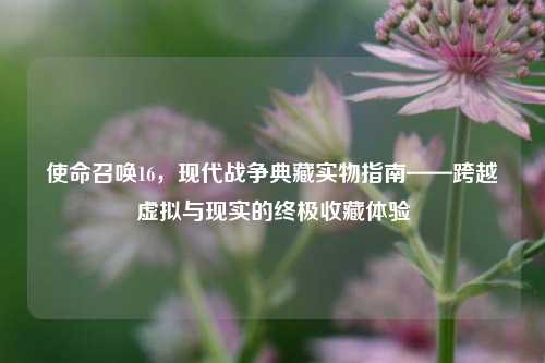 使命召唤16，现代战争典藏实物指南——跨越虚拟与现实的终极收藏体验