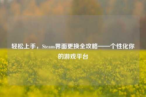 轻松上手，Steam界面更换全攻略——个性化你的游戏平台