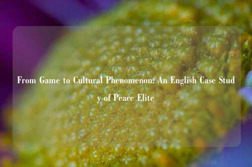 From Game to Cultural Phenomenon: An English Case Study of Peace Elite