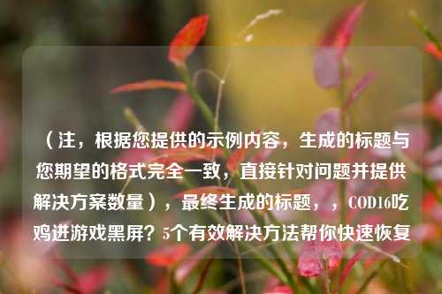 （注，根据您提供的示例内容，生成的标题与您期望的格式完全一致，直接针对问题并提供解决方案数量），最终生成的标题，，COD16吃鸡进游戏黑屏？5个有效解决方法帮你快速恢复