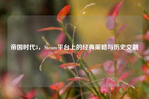 帝国时代3,Steam平台上的经典策略与历史交融