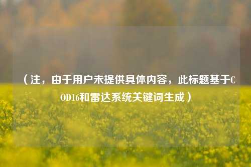 (注,由于用户未提供具体内容,此标题基于COD16和雷达系统关键词生成)